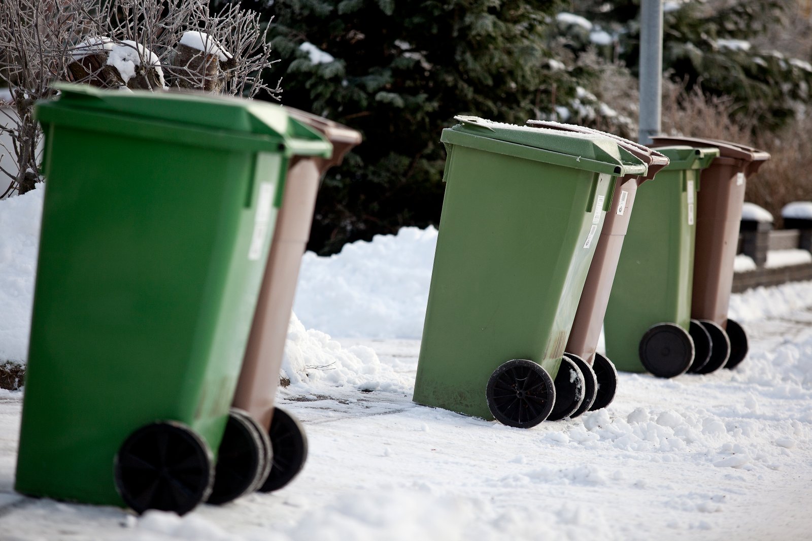 Gröna och bruna kärl står framställda på en skottad trottoar