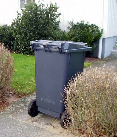 Ett grått kärl står vi en häck