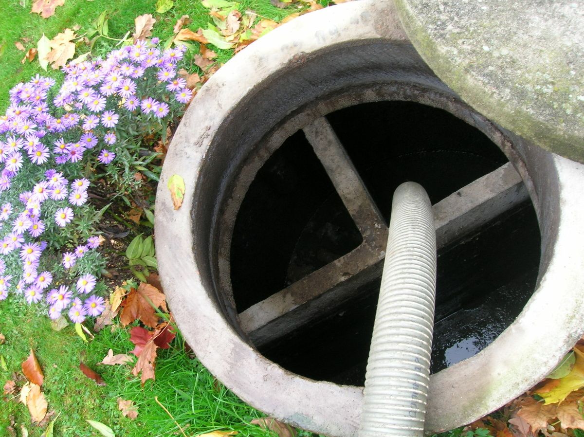 En öppen slambrunn med en slang från en slambil. Gräs och blommor bredvid brunnen.
