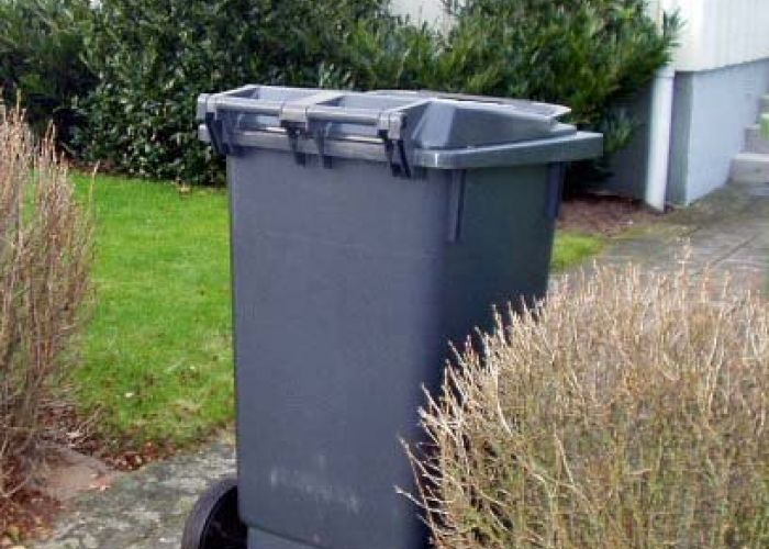 Ett grått kärl står vi en häck