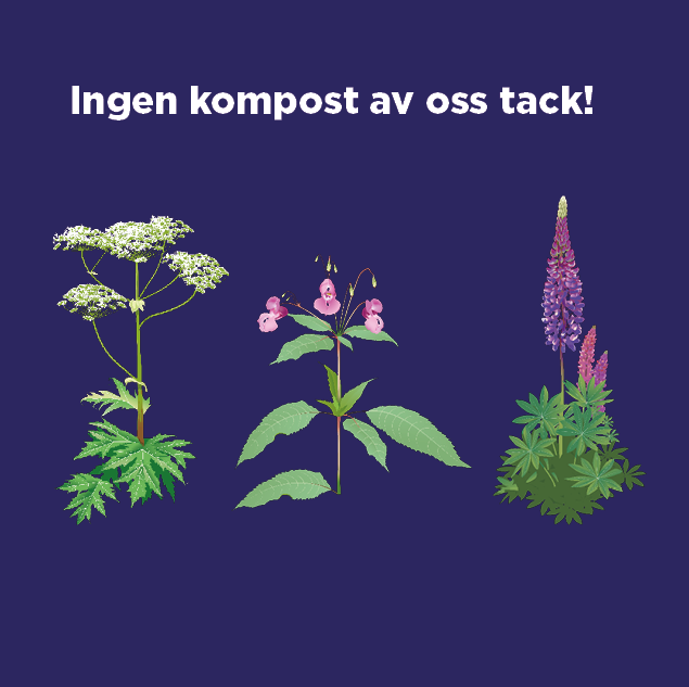 Tre tecknade växter mot mörk bakgrund och texten ingen kompost av oss tack. 